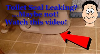 Toilet Seal Leaking?...Maybe Not