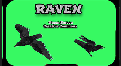 RAVEN animation green screen. Video footage OF THE GREEN SCREEN.