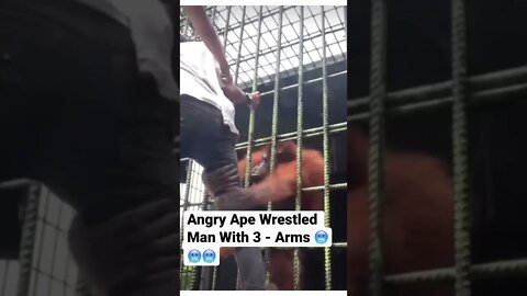 Angry Ape Wrestled Man With 3 - Arms 🥶🥶🥶