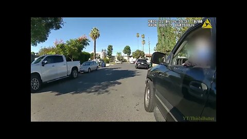 LAPD Release Body Camera Footage From Non Lethal Dog Shooting