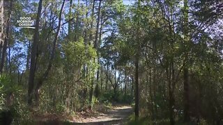 Hillsborough County's Lake Rogers Park offers peaceful walking path