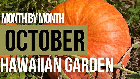 What To Do In The Hawaiian Garden During October