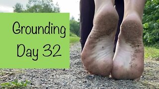 Grounding Day 32 - nature is awesome