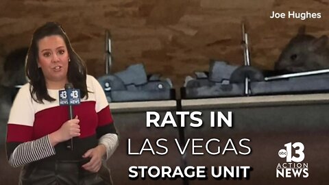 Rats were found in one Las Vegas storage unit