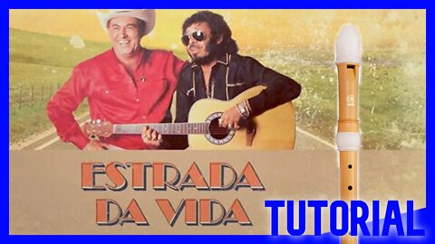 ESTRADA DA VIDA - MILIONÁRIO E JOSÉ RICO - Tutorial com notas na tela flauta doce