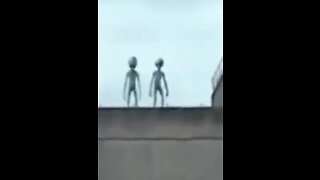 Aliens caught on Camera.