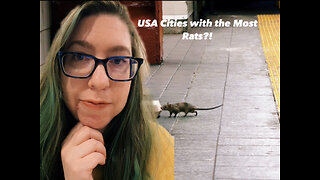 What USA cities have the most rats?