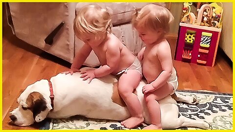 Funniest Twin Baby Compilation Will Make You Happy || 5-Minute Fails