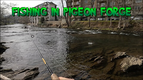 Trout Fishing Pigeon Forge, TN in Spring