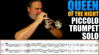 "Queen of the Night" from "The Magic Flute" in original key with Super F. W.A.Mozart. Play along!