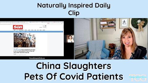 China Slaughters Pets Of Covid Patients