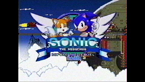 Sonic Before the Sequel VHS tape found footage