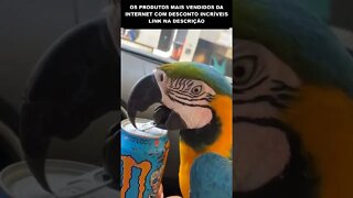 arara consegue abrir latas com o bico