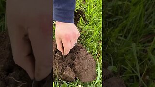 SEATED SILVER FOUND WHILE METAL DETECTING!