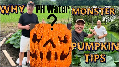 Giant Pumpkins PH Matters