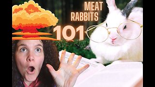 The BASICS of MEAT RABBITS║ How to Raise Meat Rabbits (Part 1/8)