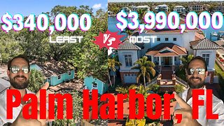 Palm Harbor, FL: Contrasting Luxury & Affordability in Paradise