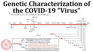 COVID-19 Paper Results: Genetic Characterization of the "Virus"