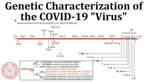 COVID-19 Paper Results: Genetic Characterization of the "Virus"