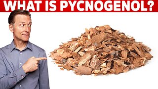 What is Pycnogenol?