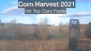 Corn Harvest 2021 Hill Top Corn Fields