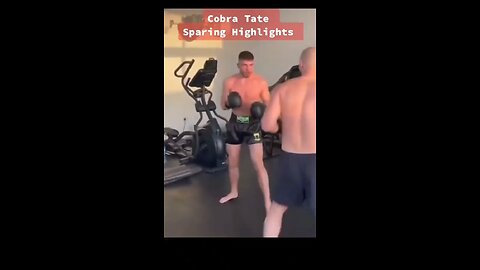 Andrew Tate knocking out his sparring partner.