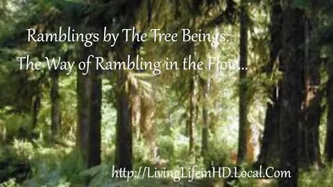 Ramblings On The Path: The Way of Rambling in the Flow... and The Cosmically Delicious Benefits