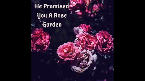 He Promised You A Rose Garden