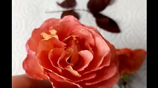 How to dry flowers fast for use with resin
