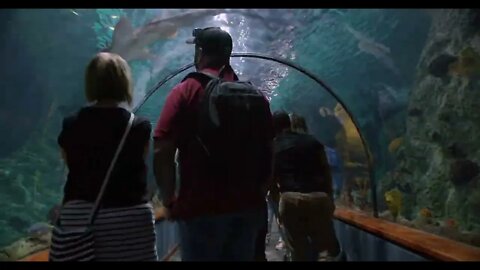 Time lapse. People visiting Tunnel And Glass In Aquarium