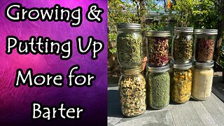 Growing & Putting Up Food for Barter