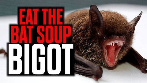 Eat the Bat Soup BIGOT