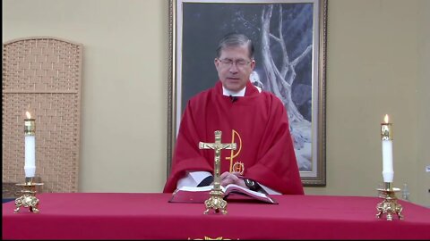 LIVE Palm Sunday Mass with Fr. Frank Pavone of Priests for Life