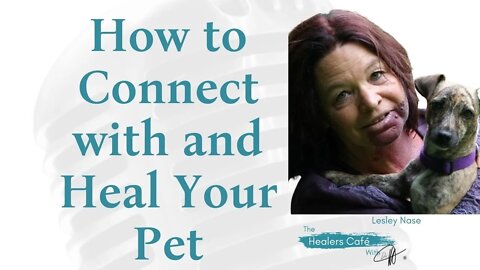 How to Connect with and Heal Your Pet with Lesley Nase on The Healers Café with Manon Bolliger