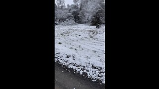 ATV+Snow=Fun
