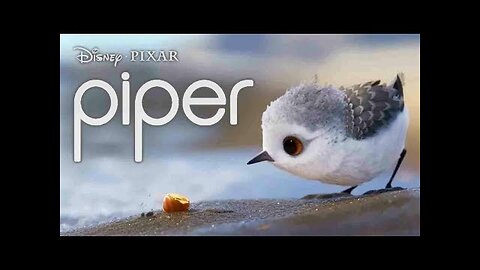 ITTLE CUTE PIPER-ANIMATED INSPIRATIONAL SHORT FILM THAT MOTIVATE YOU