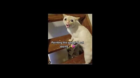 funniest animals 2023 😆 funniest cats and dogs 2022