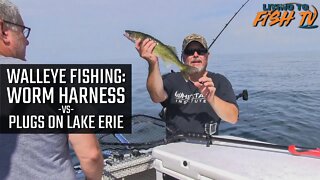 Walleye Fishing - Worm Harness -vs- Plugs on Lake Erie