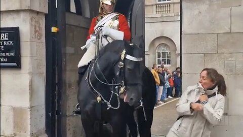 Beware the horse waits for you to ignore the sign #horseguardsparade