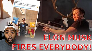 Elon Musk Issues MASS LAYOFF Firing HALF Of Staff As WOKE Activists Try To Destroy Twitter!