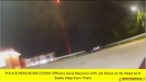 POLICE RESCUE RACCOON! Officers Save Raccoon with Jar Stuck on Its Head as It Seeks Help