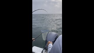 Lake Erie fishing