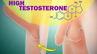 𝗧𝗼𝗽 𝟭𝟬 High Testosterone Benefits