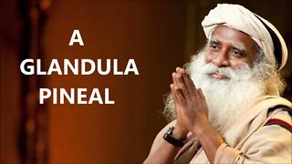 INFORMAÇÕES SOBRE A GLÂNDULA PINEAL, SADHGURU, DUBLADO