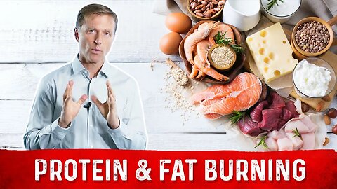 The Reason Why Protein Is Used for Fat Burning – Dr. Berg