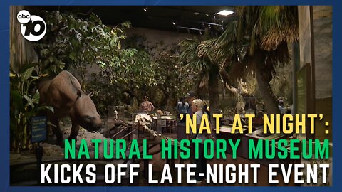 'Nat at Night': Natural History Museum kicks off late-night event