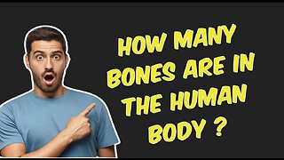 How many bones are in the human body ?