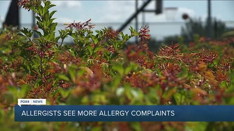 Tree Pollen Counts Running Higher this Spring According to Lee Health