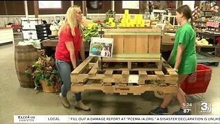 Nelson Produce Farm celebrates its Corn Festival amid drought conditions