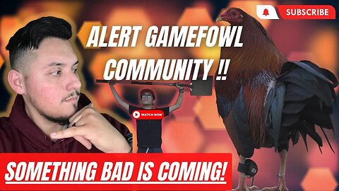 ALERT MUST WATCH STREAM !SOMETHING Bad is Coming!